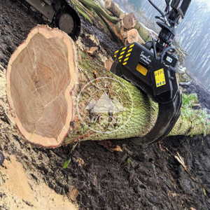 White Oak Logs Product Image 